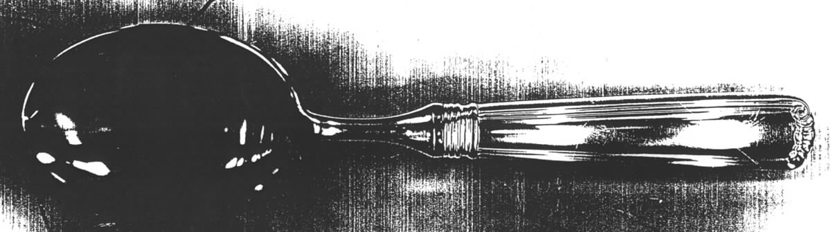 Embassy Scroll (Sterling, 1981, no monograms) Buffet Serving Spoon with Stainless Bowl by Lunt Silver-1