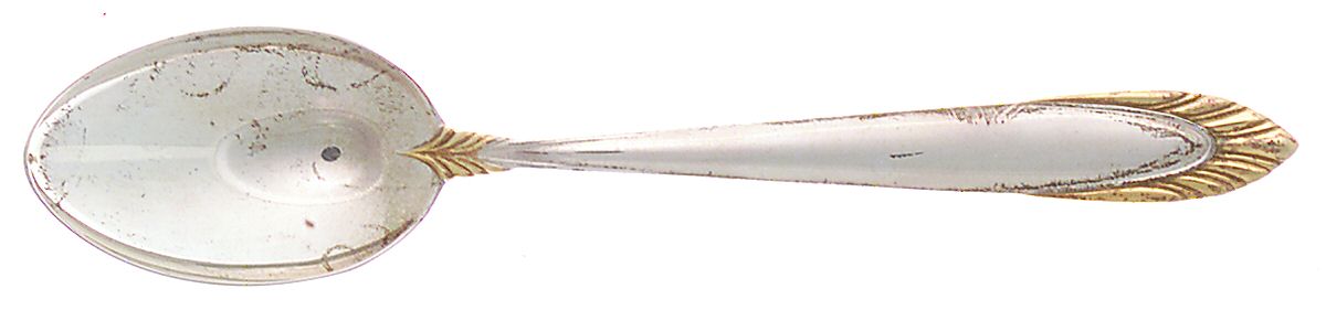 Golden Soleil (Sterling, 1995) Teaspoon by Lunt Silver-1