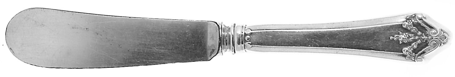 Orleans (Sterling, 1914) Butter Spreader Hollow Hdl-Paddle/Stainless Blade by Lunt Silver-1