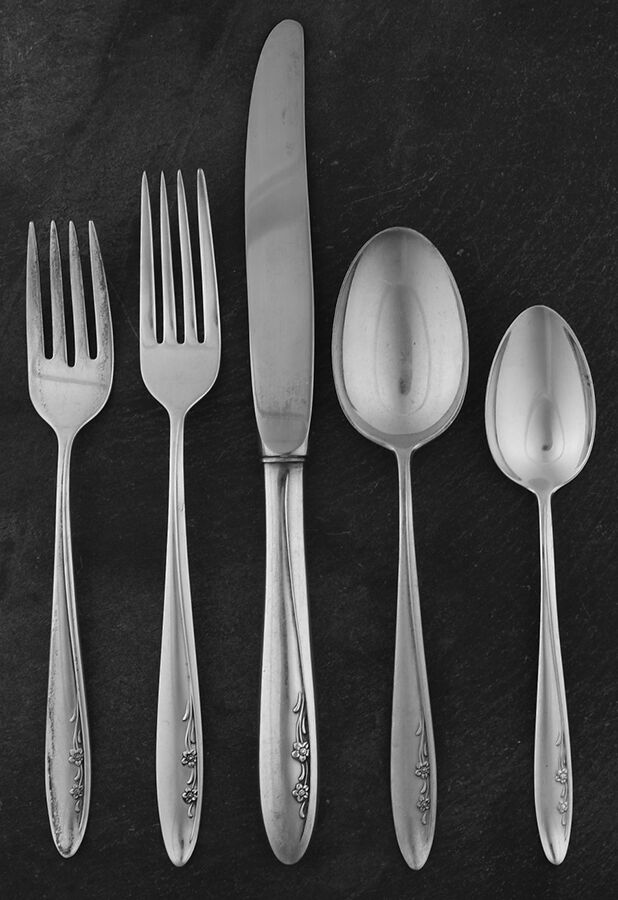 Spring Serenade (Sterling, 1957) 40 Piece Estate Set by Lunt Silver-1
