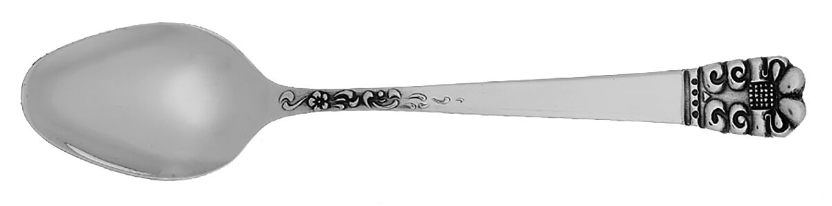 LCU65 (Stainless) Teaspoon by Lifetime-1