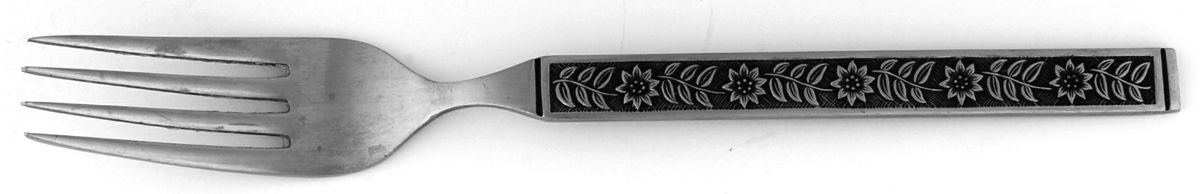 Mediterranean (Stainless) Fork by Lifetime-1