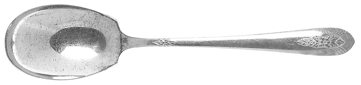 LDA1 (SILVERPLATE) Sugar Spoon by Lady Anne-1