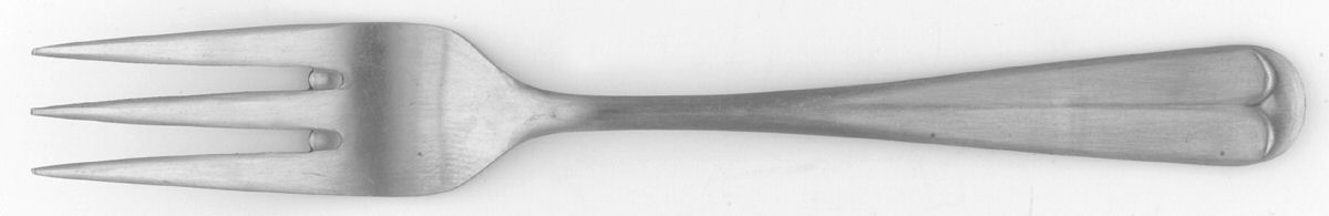 LCU73 (Stainless) Individual Salad Fork by Lifetime-1