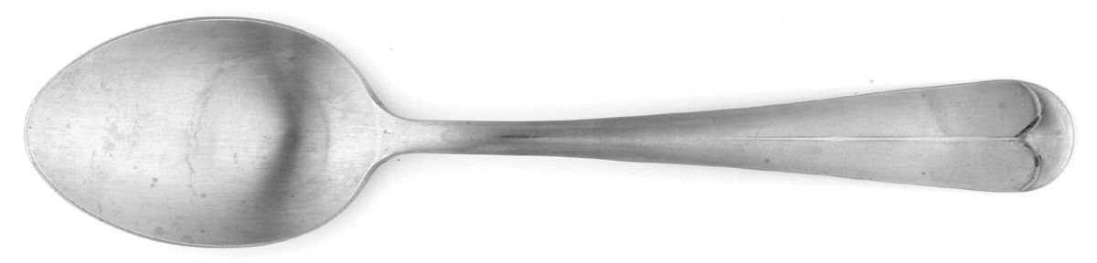 LCU73 (Stainless) Teaspoon by Lifetime-1