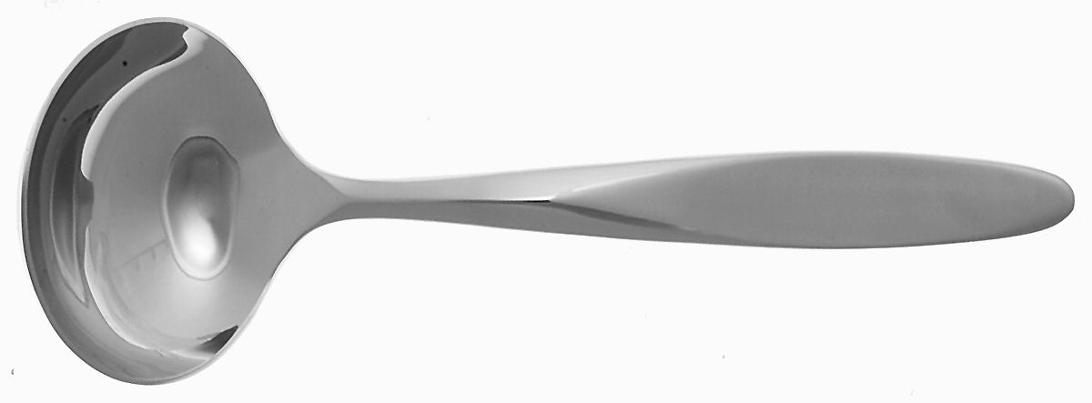 Verge Frosted (Stainless) Solid Gravy Ladle by Lenox-1