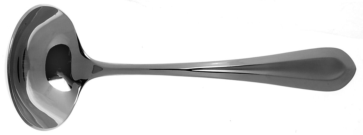Celeste Frosted (Stainless) Solid Gravy Ladle by Lenox-1