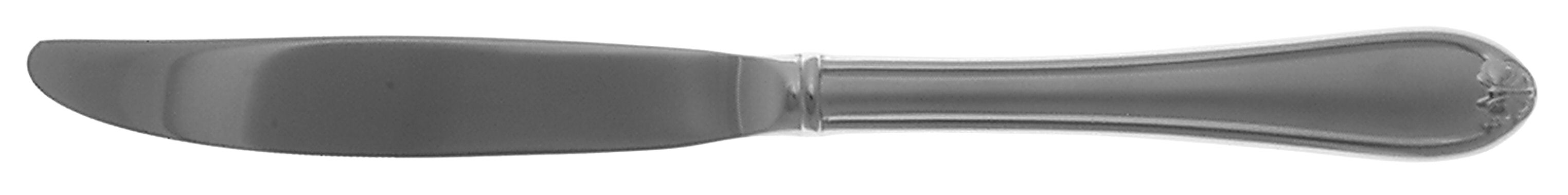 Butterfly Meadow Frosted (Stainless) Modern Hollow Knife by Lenox-1