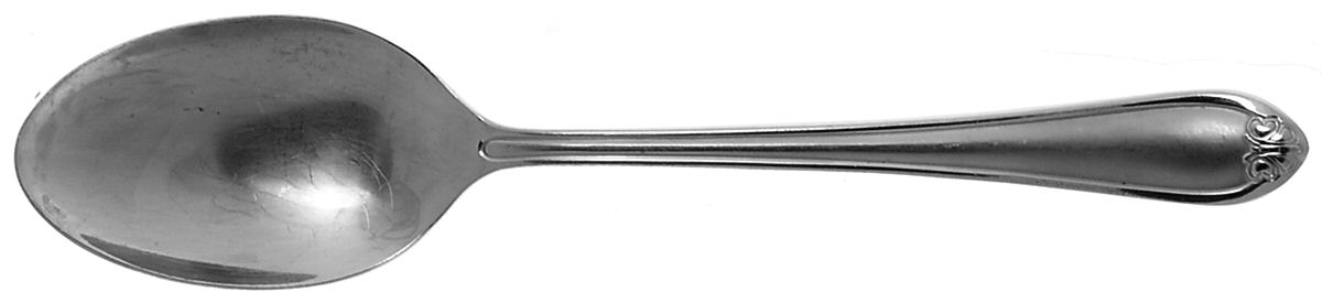 Butterfly Meadow Frosted (Stainless) Tablespoon (Serving Spoon) by Lenox-1