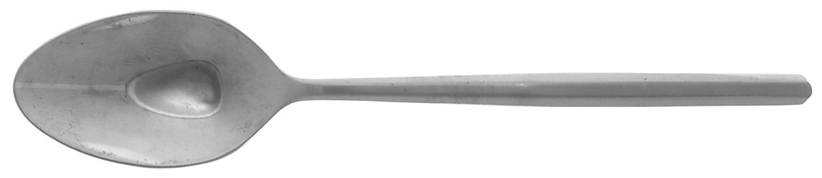 Acacia Frosted (Stainless) Teaspoon by Lenox-1