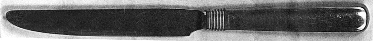 LRF5 (Stainless) New French Hollow Knife by Ralph Lauren Flatware-1