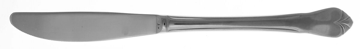 Enigma (Stainless) Modern Solid Knife by Lagostina-1