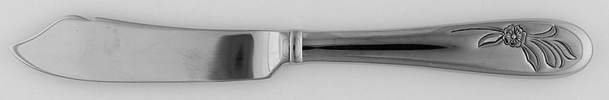 Sheer Bliss (Stainless) Hollow Handle Master Butter Knife by Lenox-1