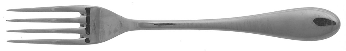 LGS12 (Stainless) Fork by Lagostina-1