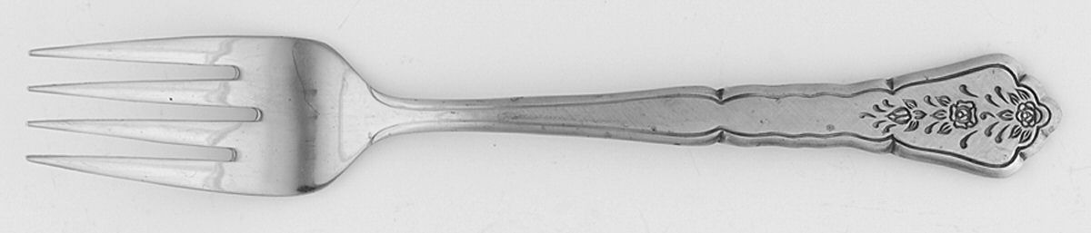 LCU88 (Stainless) Individual Salad Fork by Lifetime-1