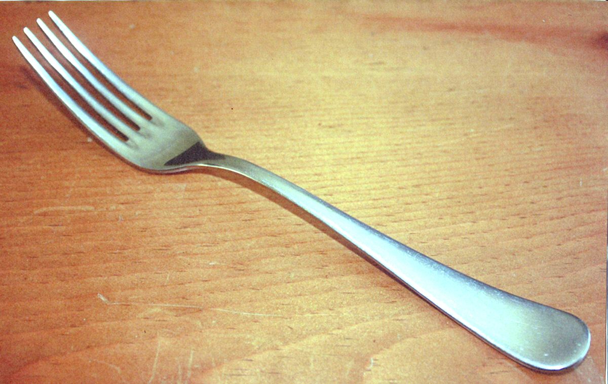 LGS13 (Stainless) Fork by Lagostina-1