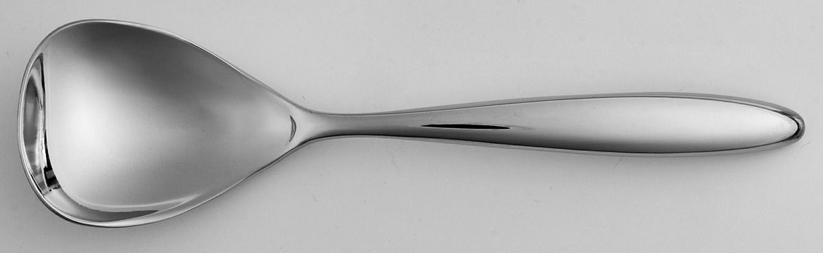 Curve (Stainless) Sugar Spoon by Lenox-1