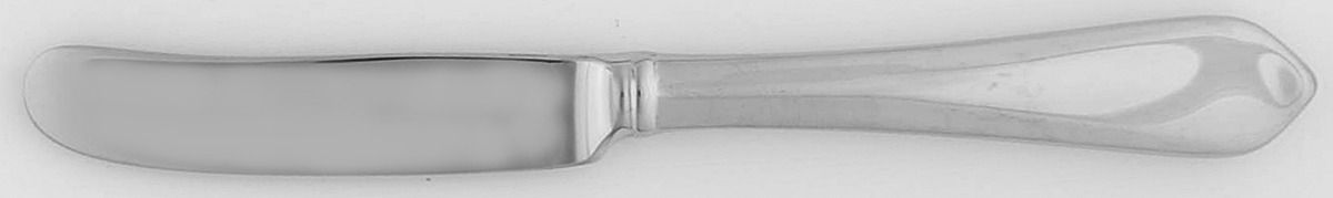 Magnolia Drive (Stainless) Hollow Handle Master Butter Knife by Lenox-1