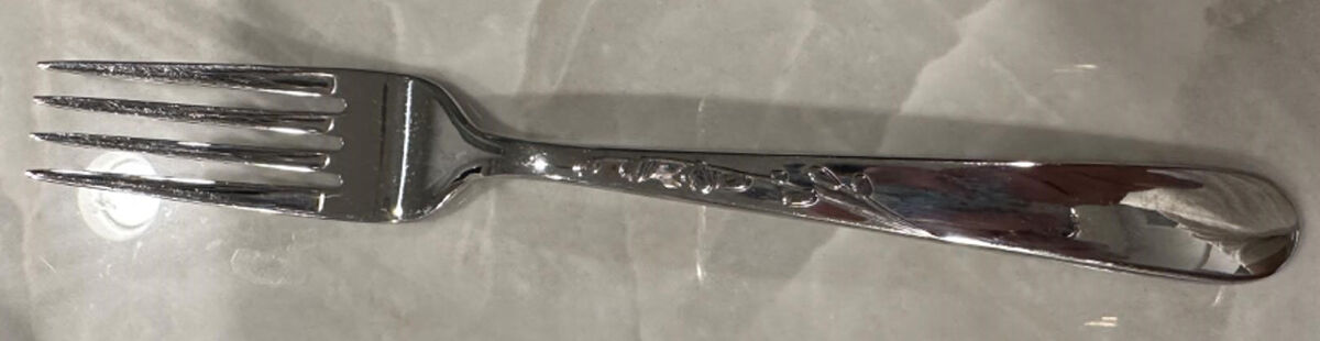 Gardner Street (Stainless) Fork by Lenox-1