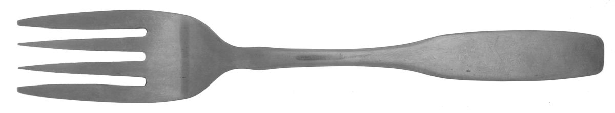 LCU92 (Stainless) Individual Salad Fork by Lifetime-1