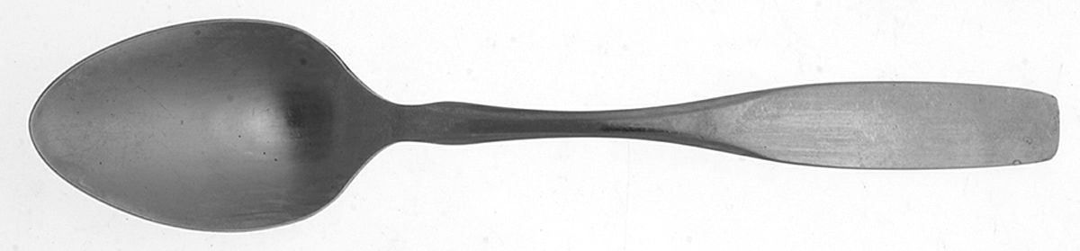LCU92 (Stainless) Teaspoon by Lifetime-1