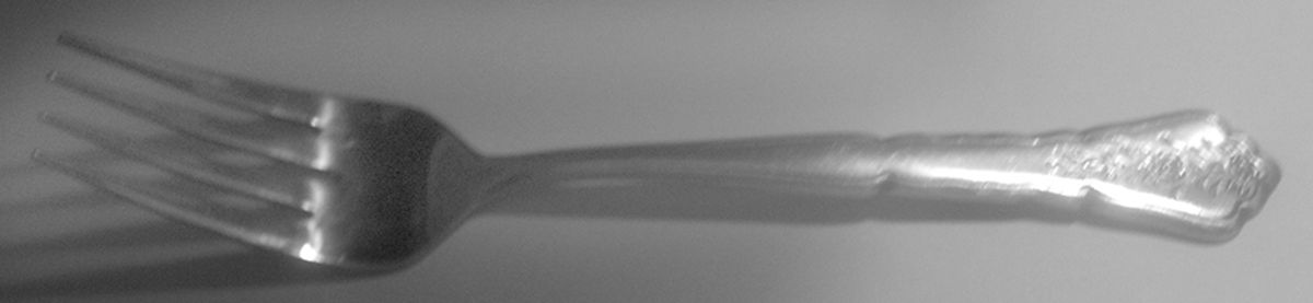 LCU94 (Stainless) Individual Salad Fork by Lifetime-1