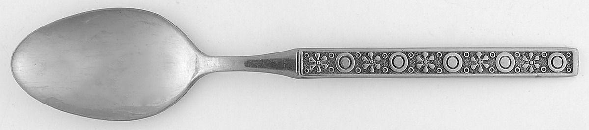 LCU96 (Stainless) Teaspoon by Lifetime-1