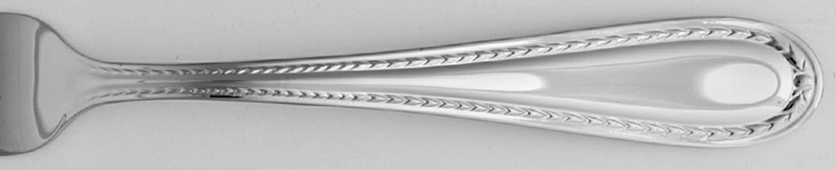 Hillsdale (Stainless) Fork by Lenox-1