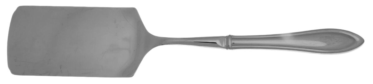 Medford (Stainless) Lasagna Server with Stainless Blade HC by Lenox-1