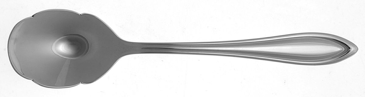 Medford (Stainless) Sugar Shell Spoon by Lenox-1