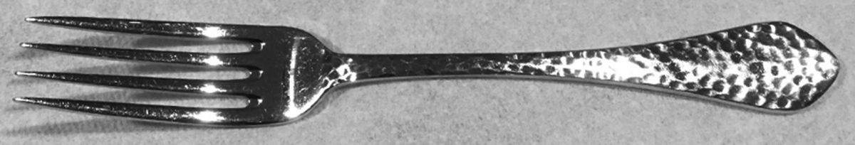LNS2 (Stainless) Fork by Lands' End-1