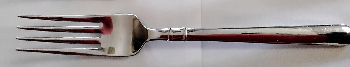 Carlton Street (Stainless) Individual Salad Fork by Lenox-1