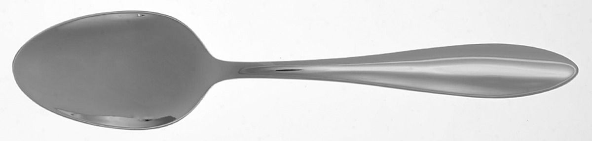 Ellison (Stainless) Tablespoon (Serving Spoon) by Lenox-1