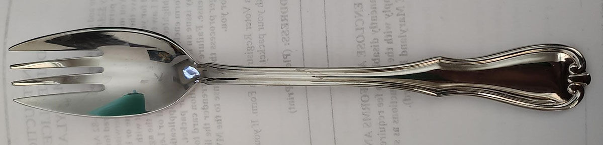 Pine Grove (Stainless) Individual Spoonik/Spork by Lenox-1