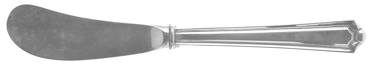 Mary Warren (Sterling, 1910-1932) Butter Spreader Hollow Hdl-Paddle/Stainless Blade by Manchester-1