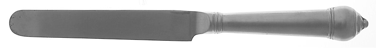 Ascot (Stainless, Satin) Blunt Hollow Knife by Mikasa-1