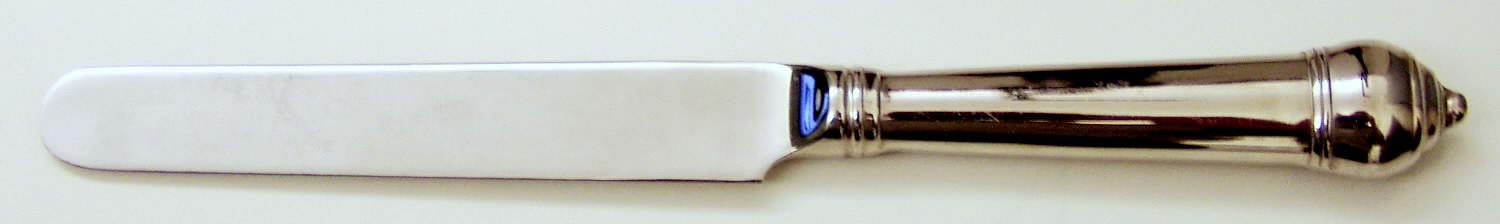 Brighton (Stainless, Glossy) Blunt Hollow Knife by Mikasa-1