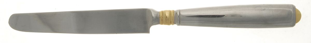 Carlisle (Stainless, Gold Accent) New French Solid Knife by Mikasa-1
