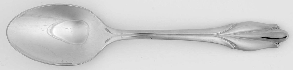 Chapelle (Stainless) Tablespoon (Serving Spoon) by Mikasa-1