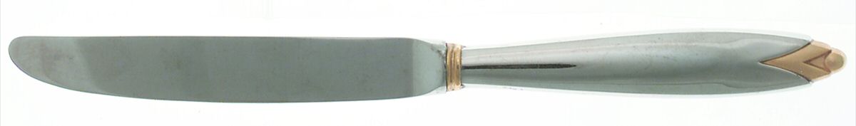 Cinema Gold (Stainless, Gold Accent) Modern Hollow Knife by Mikasa-1