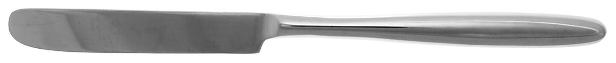 Dune (Stainless) Blunt Solid Knife by Mikasa-1
