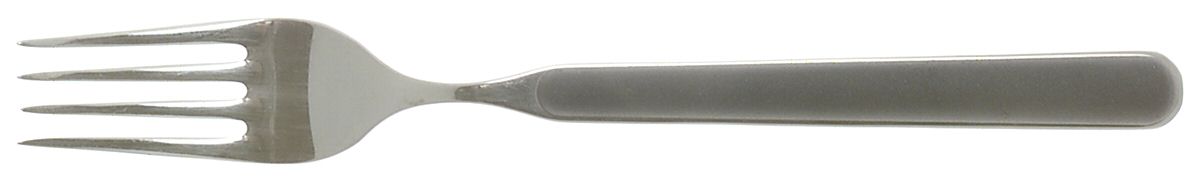Fantasia-Navy (Stainless) Fork by Mikasa-1