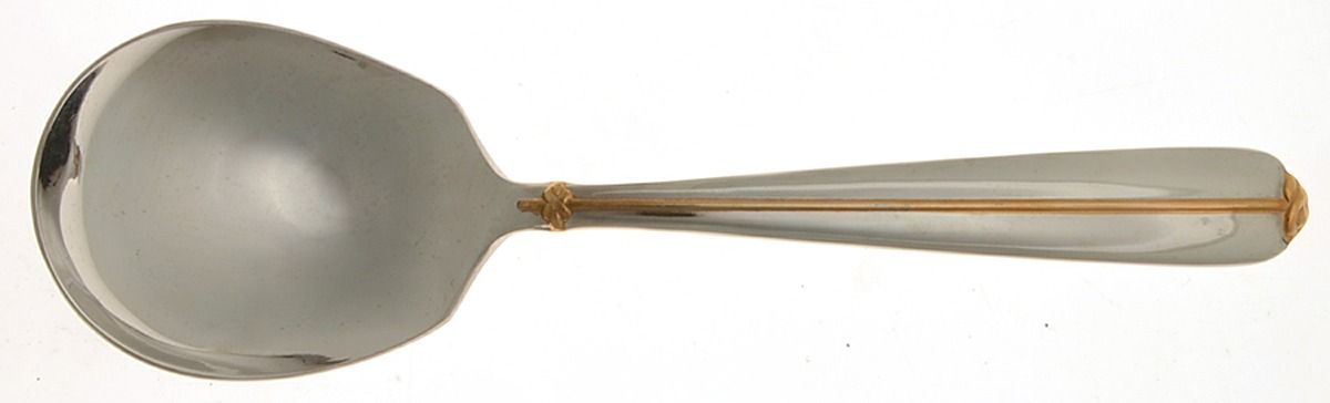Trapunto D'Oro (Stainless) Tablespoon (Serving Spoon) by Mikasa-1