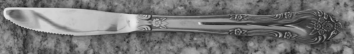MPF6 (STAINLESS) Modern Solid Grille Knife by Market Place-1