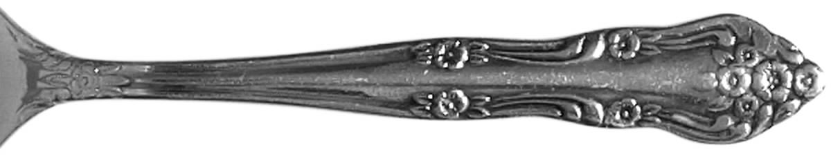 MPF6 (STAINLESS) Teaspoon by Market Place-1