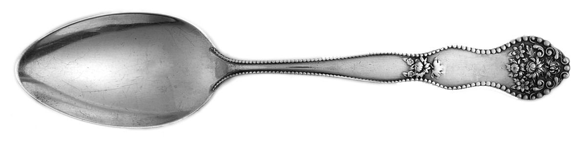 Adolphus (Sterling, 1904, No Monograms) Dessert/Oval Soup Spoon by Mount Vernon-1