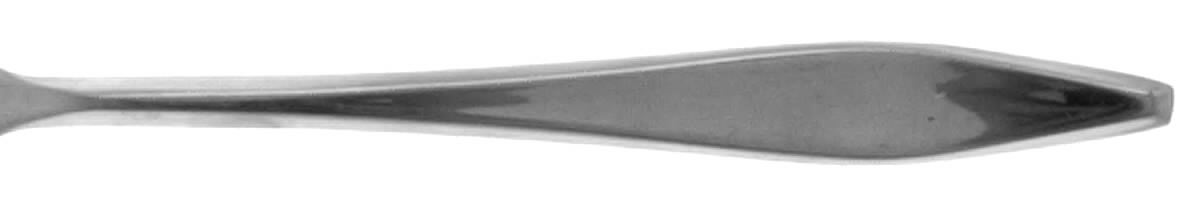 Lynn (Stainless) Fork by Montgomery Ward-1