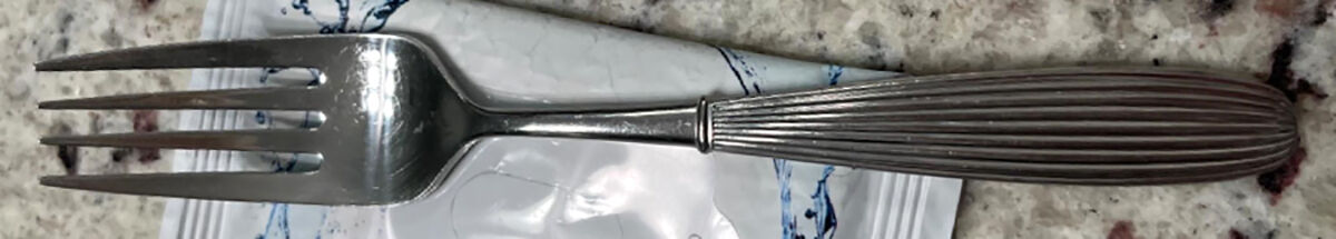MIS18 (Stainless) Fork by Mikasa-1