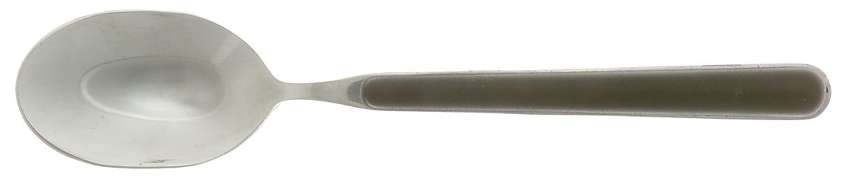 Elite-Black (Stainless) Teaspoon by Mikasa-1