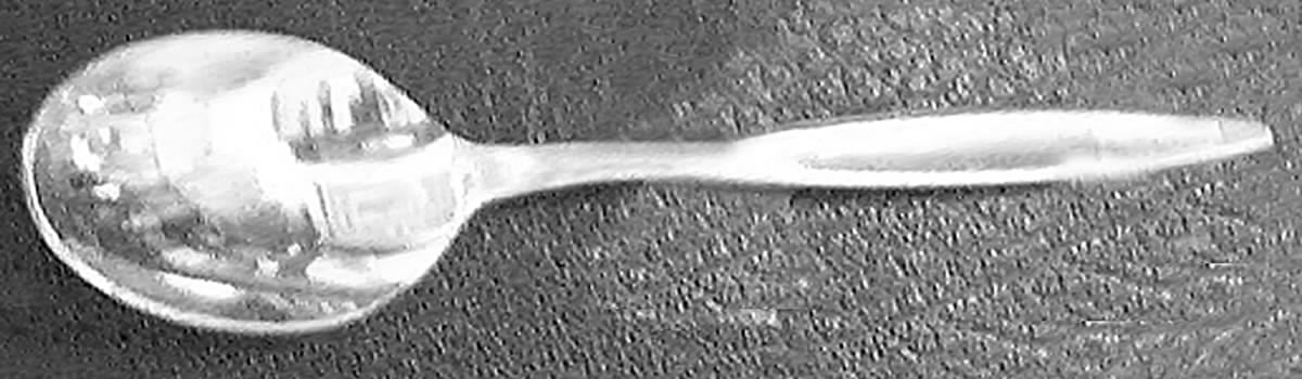 MHO27 (Stainless) Teaspoon by Manor House-1